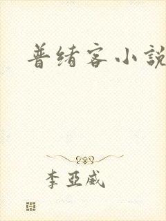 普绪客小说