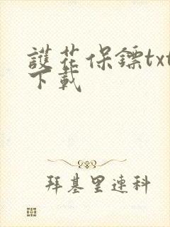 护花保镖txt下载