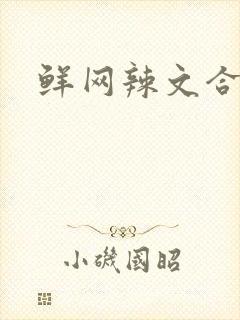 鲜网辣文合集