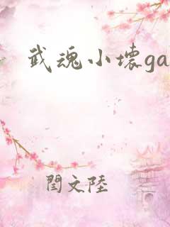 武魂小坏ga