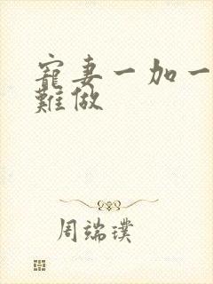 宠妻一加一老婆难做