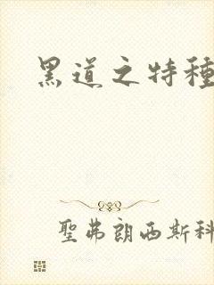 黑道之特种兵王