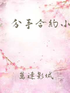 分手合约小说
