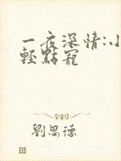 一夜深情:小叔轻点宠