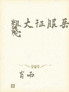 粗大征服岳女双飞