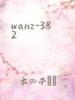 wanz-382