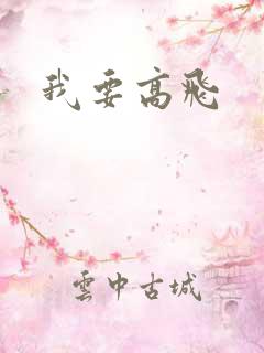 我要高飞