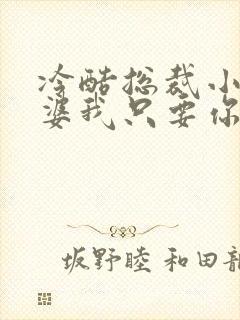 冷酷总裁小小老婆我只要你