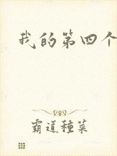 我的第四个老公