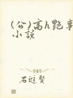 (公)高h艳事小说