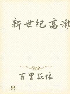 新世纪高潮战队