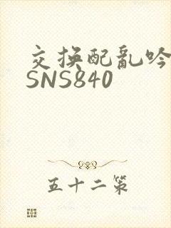 交换配乱吟粗大SNS840