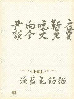 尹向晚靳夜擎小说全文免费阅读无弹窗