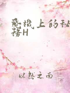 飞机上的秘密服务H