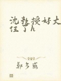 沈教授好大含不住了h