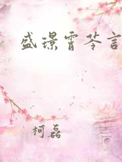 盛璟霄芩言小说