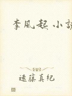 李风起 小说