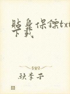 贴身保镖txt下载