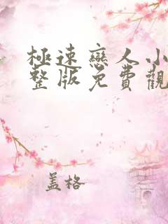 极速恋人小说完整版免费观看