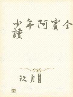 少年阿宾全本阅读
