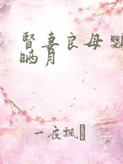 贤妻良母 鹦鹉晒月