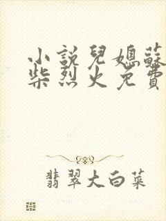 小说儿媳苏玥干柴烈火免费阅读