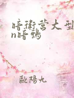 暗卫营大型hpn暗鸦