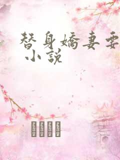 替身娇妻要离婚 小说