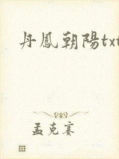 丹凤朝阳txt