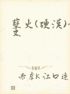 孽火(硬汉)今又