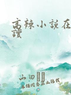 高辣小说在线阅读