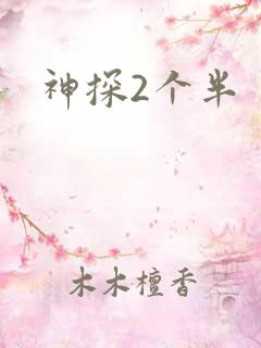 神探2个半