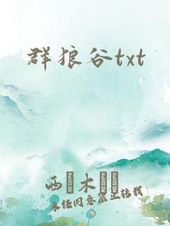 群狼谷txt