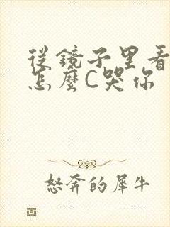 从镜子里看我是怎么C哭你