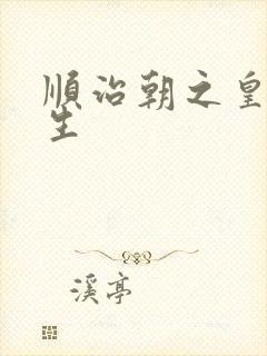 顺治朝之皇后重生