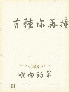 有种你再撞一下