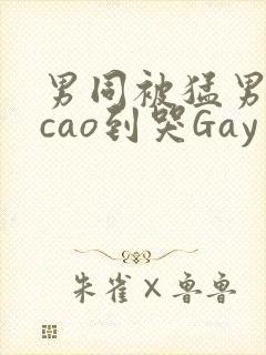 男同被猛男房东cao到哭Gay
