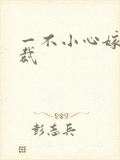 一不小心嫁给总裁