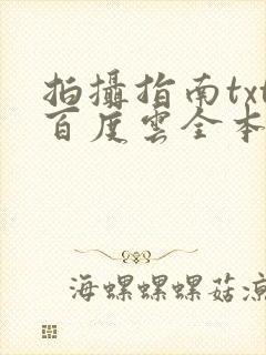 拍摄指南txt百度云全本