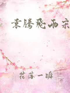 袁腾飞两宋风云