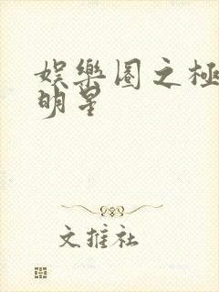 娱乐圈之极品大明星