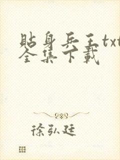 贴身兵王txt全集下载