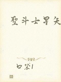 圣斗士星矢小说