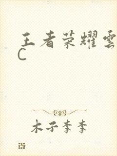 王者荣耀云缨被C