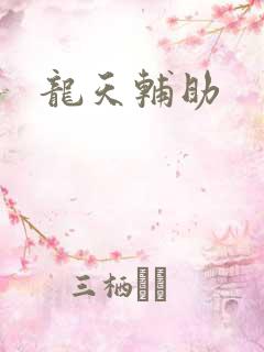 龙天辅助