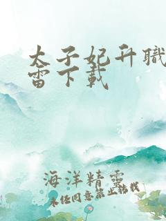 太子妃升职记迅雷下载