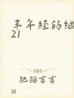 丰年经的继中文21