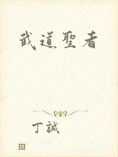 武道圣者