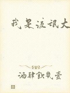 我是流氓大律师