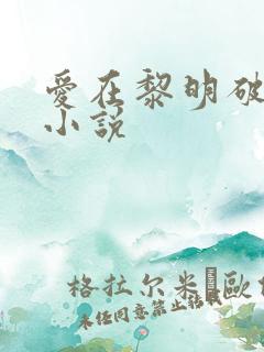 爱在黎明破晓前小说